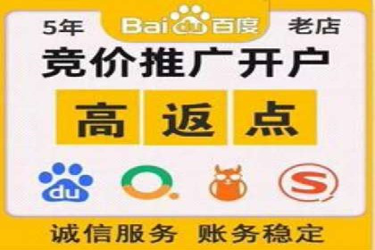 搜索引擎营销（SEM）推广策略案例分享